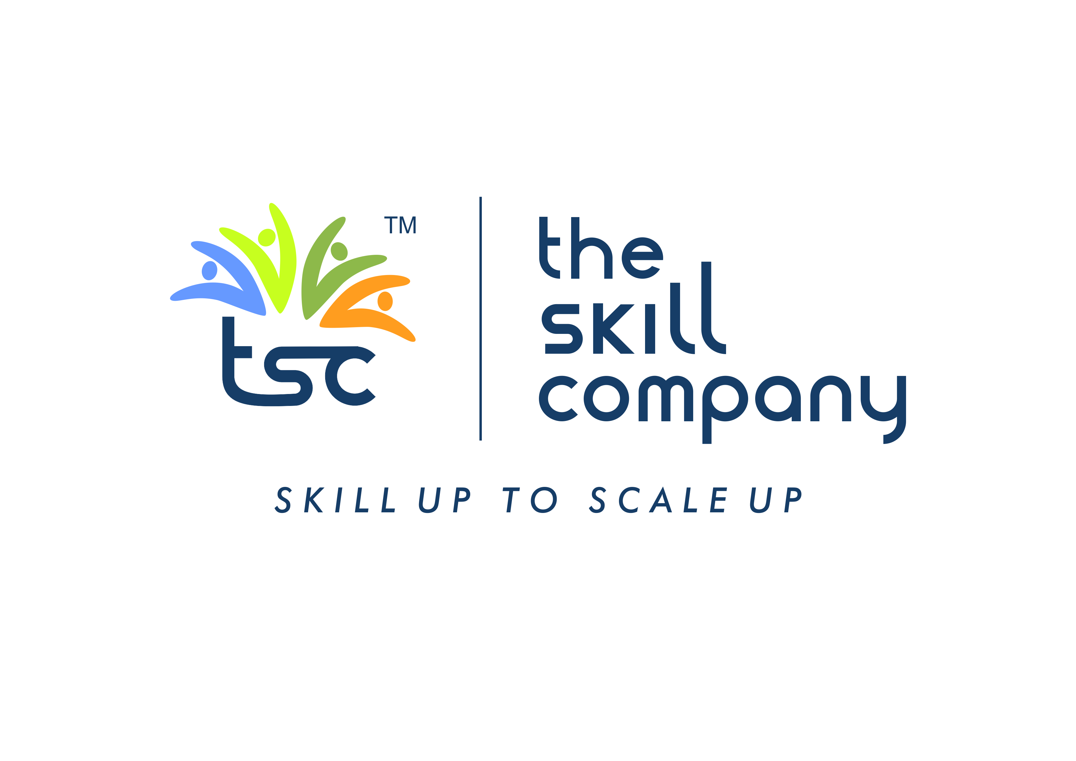The Skill Company